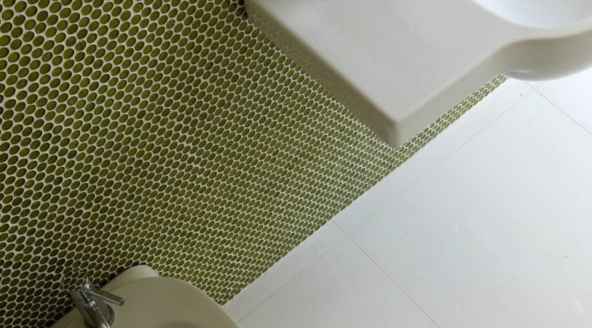 Bio Domus D01 - green bathroom