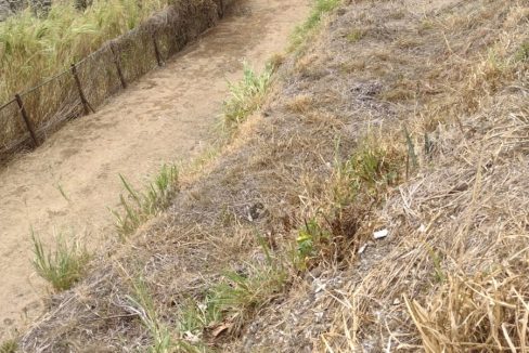 Imagen de WhatsApp 2023-03-12 a las 11.37.26_178028fb