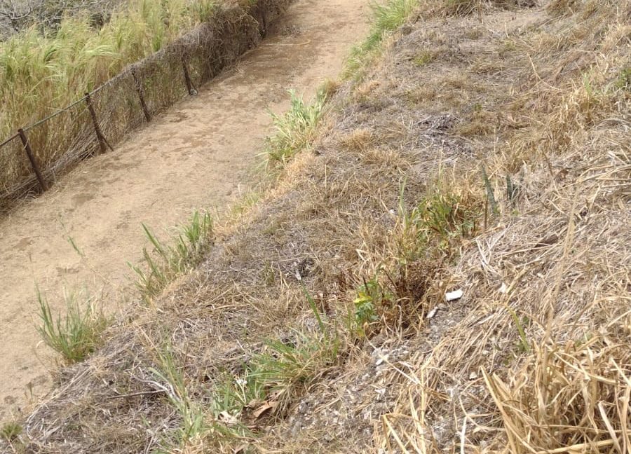 Imagen de WhatsApp 2023-03-12 a las 11.37.26_178028fb