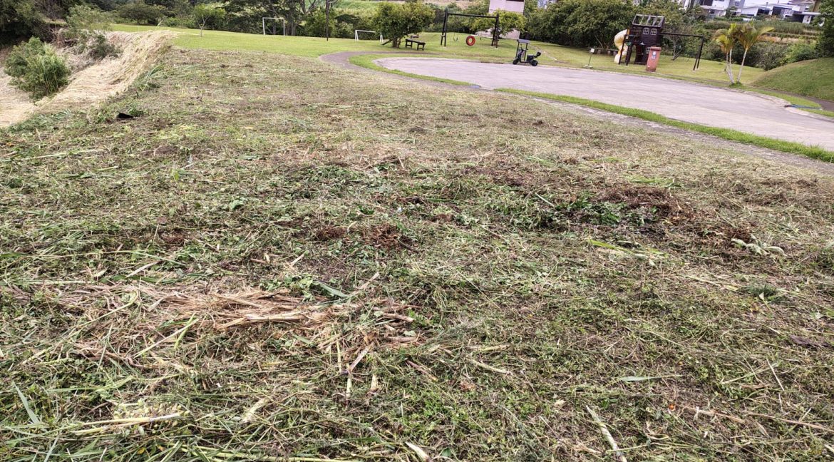 Imagen de WhatsApp 2025-08-10 a las 11.04.29_ea08fbbd