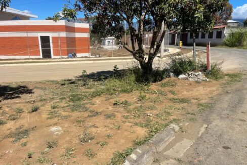 Foto Lote 3