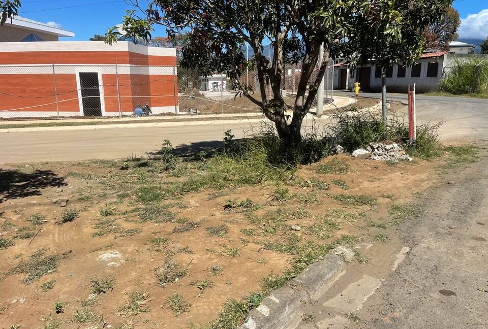 Foto Lote 3